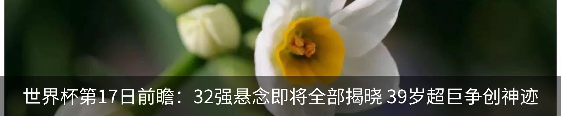 资讯动态