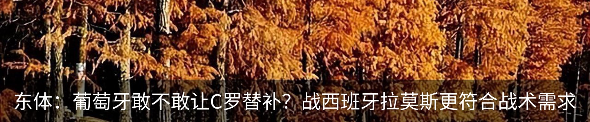 资讯动态