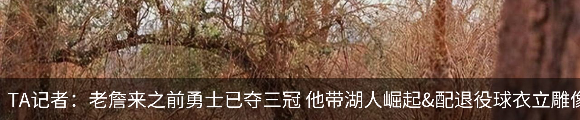 资讯动态